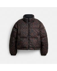 COACH - Print Puffer Jacket - Lyst