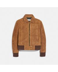 COACH Chaqueta bomber de ante - Multicolor