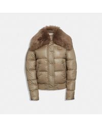 coach bubble jacket