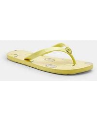 COACH - Zayn Flip Flop With Fruit Print - Lyst