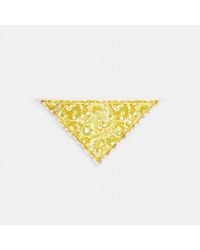 COACH - Andrea Paisley Print Silk Triangle Scarf - Lyst