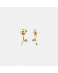 COACH - Garden Flower Stem Stud Earrings - Lyst