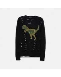 coach mens sweater