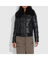 coach bubble jacket