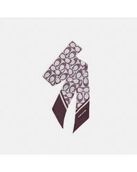 COACH - Textured Signature Print Silk Skinny Scarf - Lyst