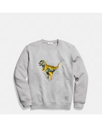 coach sweatshirt