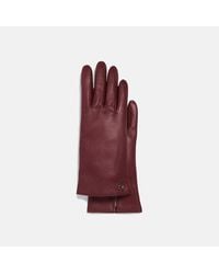COACH Sculpted Signature Leather Tech Gloves - Blue