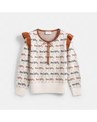 coach dog sweater