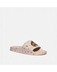 Sandalias COACH de hombre desde 73 €