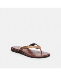 COACH - Brianna Flip Flop Flat Sandals - Lyst