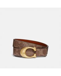 barkers belt
