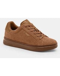 COACH - High Line Sneaker Für Frauen - Lyst
