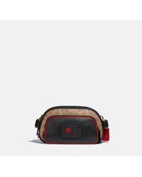 Marsupio da uomo COACH - Ctd Cnvs Sig Blt Bg 39937 B4PEQ B4/Tan Deep Red -  Donna - Borse per adolescenti - Pelletteria - Accessori | escarpe.it