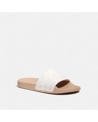 ainsley bootie coach