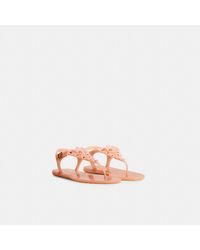 coach tea rose jelly sandals
