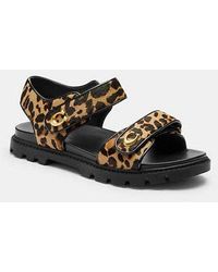 COACH - Sandalias Brynn Con Estampado De Leopardo - Lyst