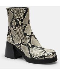 COACH - Stivale Con Tacco A Blocco A Stampa Serpente - Lyst