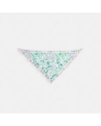 COACH - Andrea Paisley Print Silk Triangle Scarf - Lyst