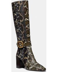 evelyn boot in snakeskin