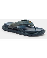 COACH - Brynn Thong Sandal - Lyst