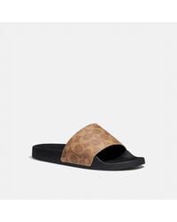 black crocodile sandals