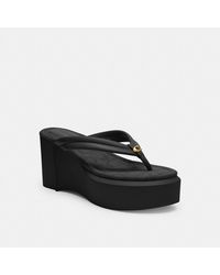 franki flip flop coach