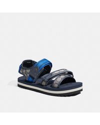 Sandalias COACH de hombre desde 73 €