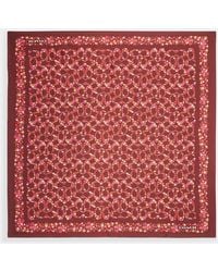COACH - Signature Posey Cluster Print Silk Square Scarf - Lyst