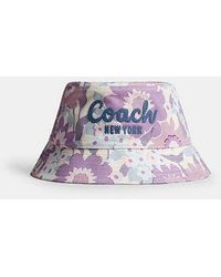 COACH - Cappello A Secchiello Script Con Stampa Floreale - Lyst