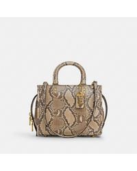 COACH - Rogue Bag 25 In Snakeskin - Lyst