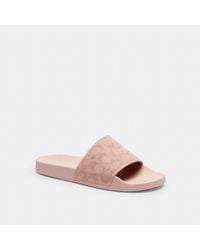 COACH - Udele Sport Slide - Lyst