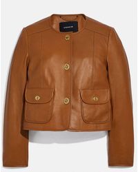Coach Landscape Leather Jacket In Brown, Coach Landscape Leather Jacket