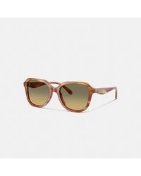 COACH - Oval Square Sunglasses - Lyst