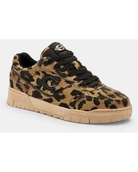 COACH - Scarpa Da Ginnastica Soho Con Stampa Leopardata - Lyst