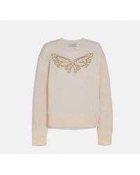 coach pullover