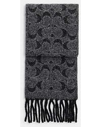 COACH - Signature Muffler - Lyst