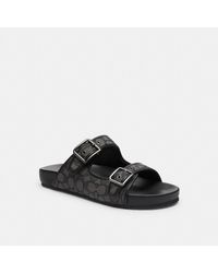 COACH - Signature And Leather Buckle Strap Sandal - Lyst