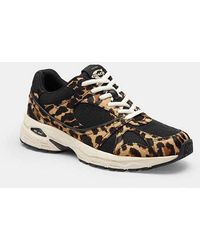 COACH - Sport Sneaker With Leopard Print - Lyst