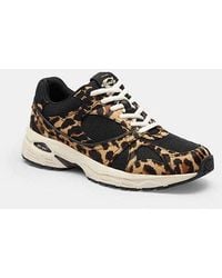 COACH - Scarpa Da Ginnastica Sport Con Stampa Leopardata - Lyst