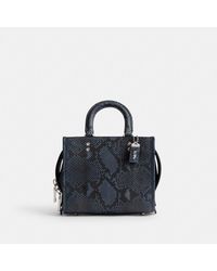 COACH - Rogue 20 In Python - Lyst