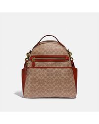 COACH - Baby Backpack - Beige/brown | Pvc - Lyst
