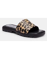 COACH - Florence Sandal With Print - Lyst