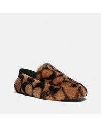 coach slippers sale