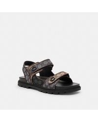 COACH - Platform Sandal In Signature Jacquard - Lyst