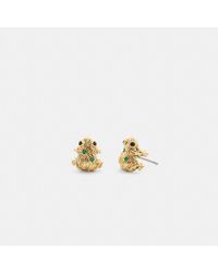 COACH - Brushed Frog Stud Earrings - Lyst