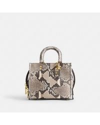 COACH - Rogue 20 In Python - Lyst