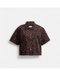 COACH - Leopard Print Denim Short Sleeve Top In Organic Cotton - Lyst