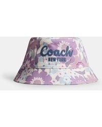 COACH - Script Floral Print Bucket Hat - Lyst