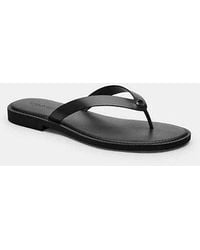 COACH - Brianna Flip Flop Flat Sandals - Lyst