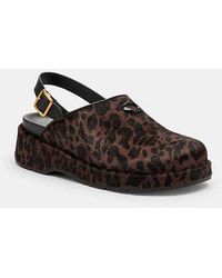 COACH - Sculpted C Platform Clog With Leopard Print - Lyst